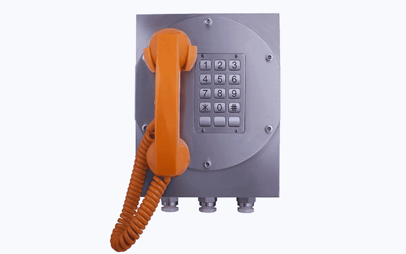 CTC-PE01 Outdoor Explosion-proof Intercom Station